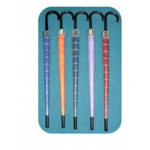Long Umbrella in Plastic Holder